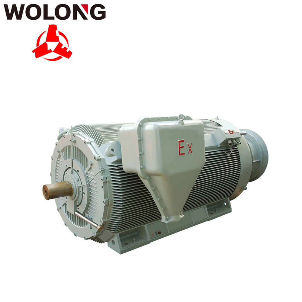 臥龍防爆電機(jī) 2極 4極 6極YBBP南陽(yáng)防爆電機(jī) 變頻調(diào)速防爆電機(jī) 變頻防爆電機(jī)